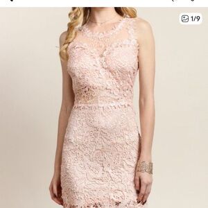 Soieblu Blush Lace Mini Dress